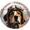 Ушастый пилот