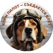 Ушастый пилот